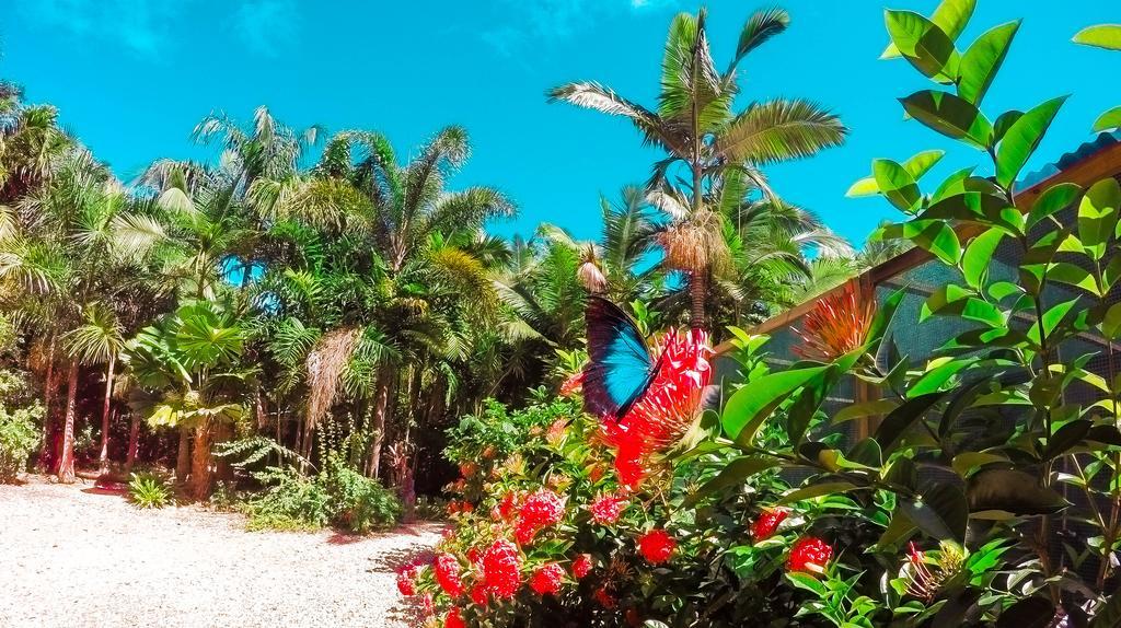 Boutique Bungalows Mission Beach Esterno foto